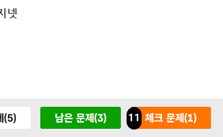 문제풀이연습 체크 문제 확인